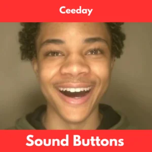 Ceeday sound