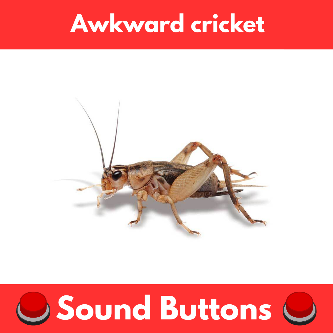 Awkward Button Awkward Cricket Sound Buttons - Instant Play