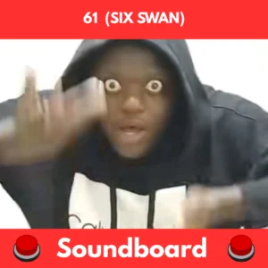 61 (SIX SWAN) soundboard