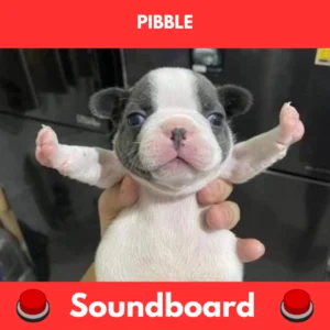 Pibble soundboard