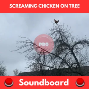Screaming chicken on tree soundboard