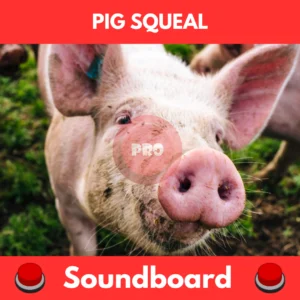 pig squeal soundboard