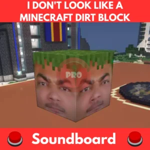 I-Dont-Look-Like-a-Minecraft-Dirt-Block-Soundboard