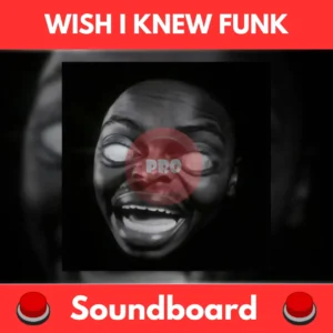 WISH-I-KNEW-FUNK-Soundboard