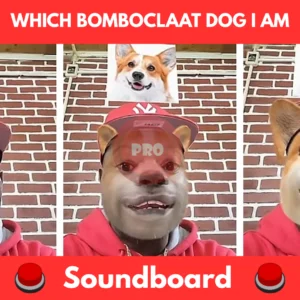 which bomboclaat dog i am soundboard