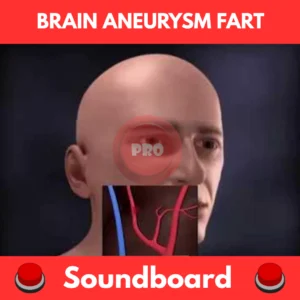 brain aneurysm fart soundboard