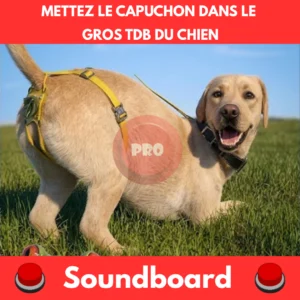METTEZ LE CAPUCHON DANS LE GROS TDB DU CHIEN soundboard